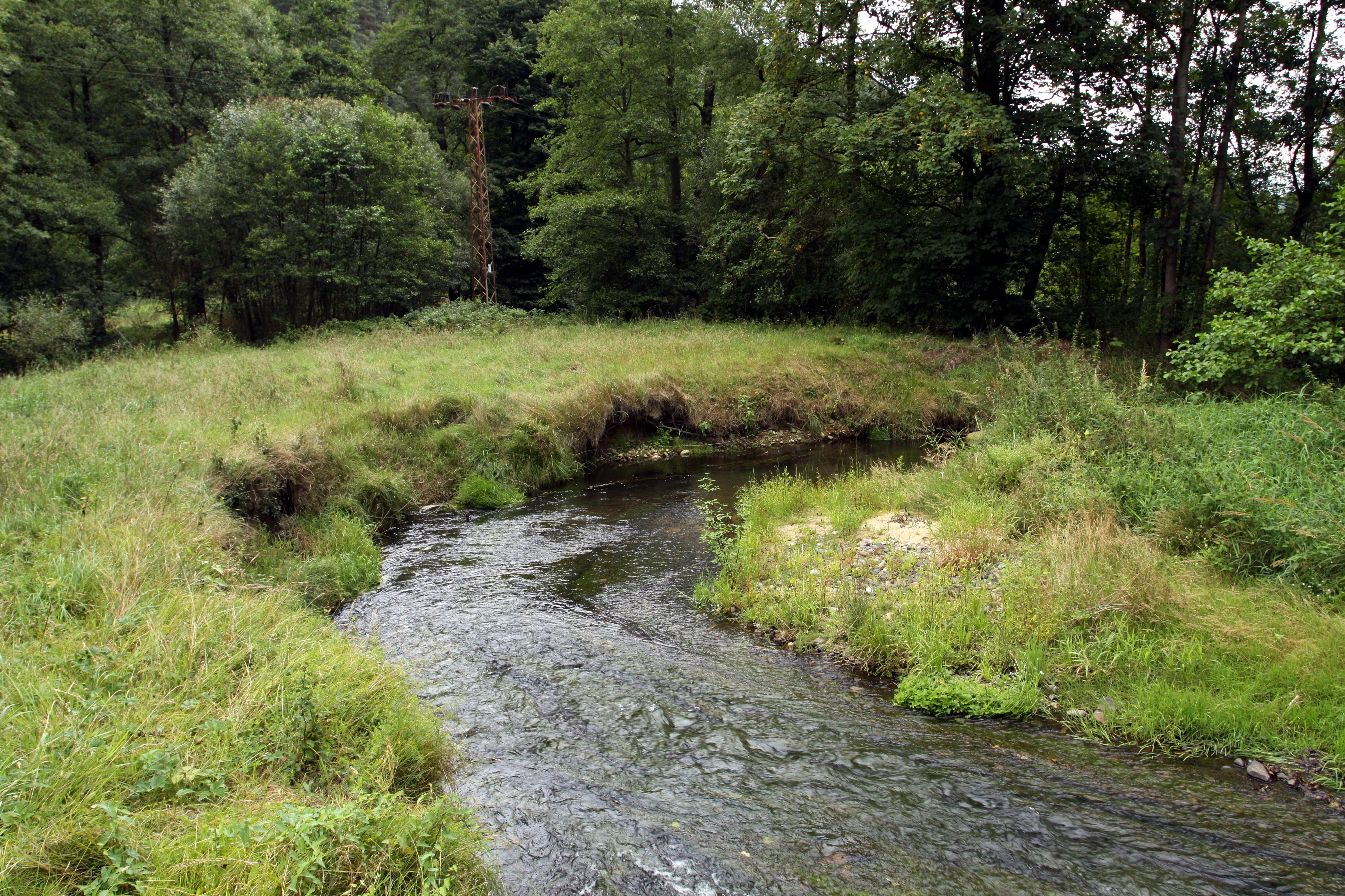 Meandry Chribske Kamenice